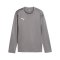 PUMA teamGOAL Training Sweatshirt Kids Grau F13 - grau