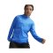 PUMA teamGOAL Trainingsjacke Damen Blau F02 - hellblau