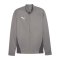 PUMA teamGOAL Trainingsjacke Grau F13 - grau