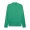 PUMA teamGOAL Trainingsjacke Grün F05 - gruen
