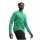 PUMA teamGOAL Trainingsjacke Grün F05 - gruen