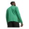 PUMA teamGOAL Trainingsjacke Grün F05 - gruen