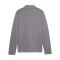 PUMA teamGOAL Trainingsjacke Kids Grau F13 - grau