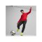 PUMA teamGOAL Trainingsjacke Rot F01 - rot