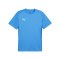 PUMA teamGOAL Trikot Blau F02 - hellblau