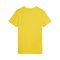 PUMA teamGOAL Trikot Damen Gelb F07 - gelb