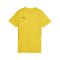 PUMA teamGOAL Trikot Damen Gelb F07 - gelb