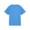 PUMA teamGOAL Trikot Kids Blau F02 - hellblau