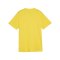 PUMA teamGOAL Trikot Kids Gelb F07 - gelb