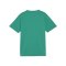 PUMA teamGOAL Trikot Kids Grün F05 - gruen