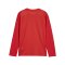 PUMA teamGOAL Trikot Langarm Kids Rot Weiss F01 - rot