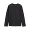 PUMA teamGOAL Trikot Langarm Kids Schwarz Weiss F03 - schwarz