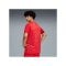 PUMA Teamjaws Graphic Ss Shooting Hemd Rot F03 - rot