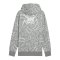 PUMA Teamjaws Post Game Hoody Grau F03 - grau