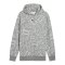 PUMA Teamjaws Post Game Hoody Grau F03 - grau
