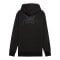 PUMA Teamjaws Post Game Hoody Schwarz F01 - schwarz