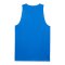 PUMA Teamjaws Reversible Trikot Blau F07 - blau