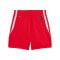 PUMA teamJAWS Starter Short Damen Rot F04 - rot
