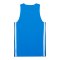 PUMA Teamjaws Starter Trikot Blau F08 - blau