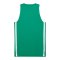 PUMA teamJAWS Starter Trikot Grün F010 - gruen
