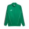 PUMA teamKING Anthem Jacke Grün F05 - gruen