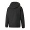PUMA teamLIGA Allwetterjacke Schwarz F03 - schwarz