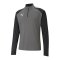 PUMA teamLIGA HalfZip Sweatshirt Grau F13 - grau
