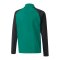 PUMA teamLIGA HalfZip Sweatshirt Kids Grün F05 - gruen