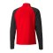 PUMA teamLIGA HalfZip Sweatshirt Rot Schwarz F01 - rot