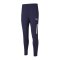 PUMA teamLIGA Pro Trainingshose Blau F06 - blau