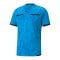 PUMA teamLIGA Schiedsrichter Trikot Blau F18 - blau