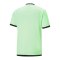 PUMA teamLIGA Schiedsrichter Trikot Grün F20 - gruen