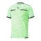 PUMA teamLIGA Schiedsrichter Trikot Grün F20 - gruen
