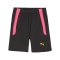PUMA teamLIGA Short 2 Kids Schwarz Gelb F57 - schwarz