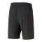 PUMA teamLIGA Short 2 Schwarz F50 - schwarz