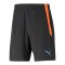 PUMA teamLIGA Short 2 Schwarz F50 - schwarz