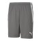PUMA teamLIGA Short Grau Weiss F13 - grau