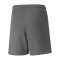 PUMA teamLIGA Short Kids Grau Weiss F13 - grau