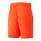 PUMA teamLIGA Short Rot Schwarz F45 - rot