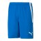 PUMA teamLIGA Short Blau F02 - blau
