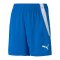 PUMA teamLIGA Shorts Kids Blau F02 - blau