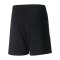 PUMA teamLIGA Shorts Kids Schwarz Weiss F03 - schwarz