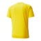 PUMA teamLIGA Striped Trikot Gelb Schwarz F07 - gelb