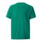 PUMA teamLIGA Striped Trikot Kids Grün Schwarz F05 - gruen