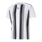 PUMA teamLIGA Striped Trikot Weiss Schwarz F04 - weiss