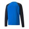 PUMA teamLIGA Trainig Sweatshirt Blau F02 - blau