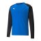 PUMA teamLIGA Trainig Sweatshirt Blau F02 - blau