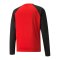 PUMA teamLIGA Trainig Sweatshirt Rot Schwarz F01 - rot
