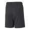 PUMA teamLIGA 2 Instinct Short Kids Schwarz F45 - schwarz