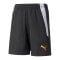 PUMA teamLIGA 2 Instinct Short Kids Schwarz F45 - schwarz